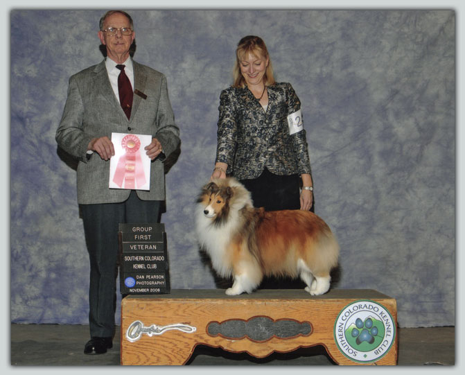 Ch. Kismet's Monet Sheltie Photograph
