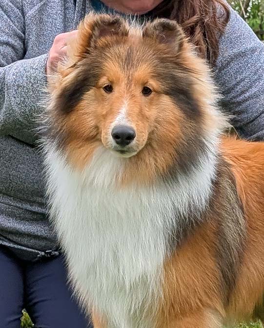 Tristan