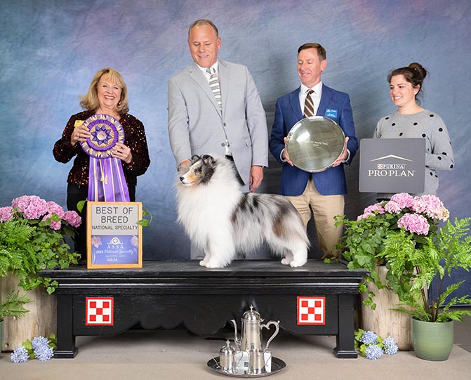 Eli ASSA Best of Breed 2023